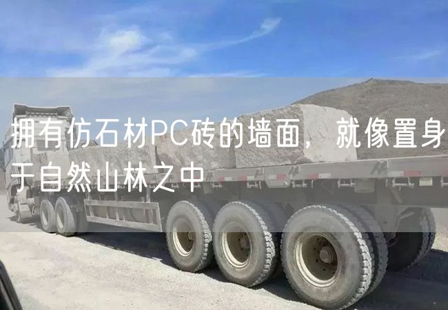 擁有仿石材PC磚的墻面，就像置身于自然山林之中