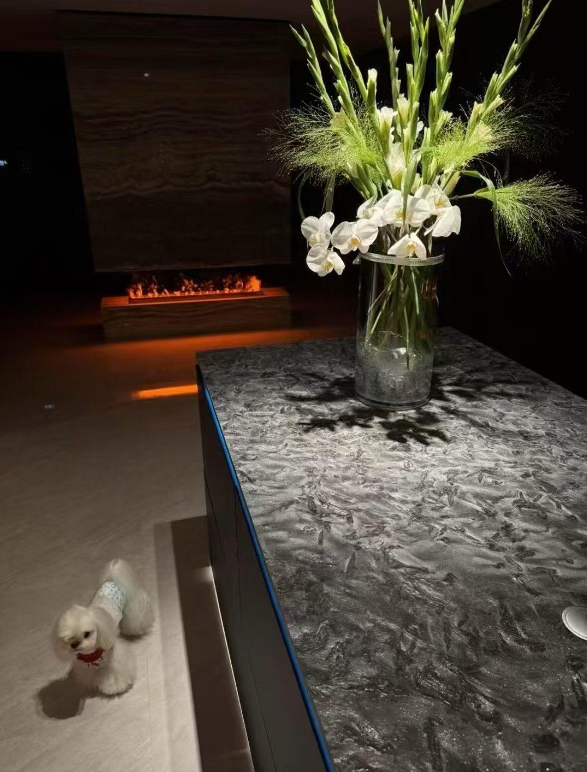 安哥拉黑大理石光面板材批發(fā)(圖3)