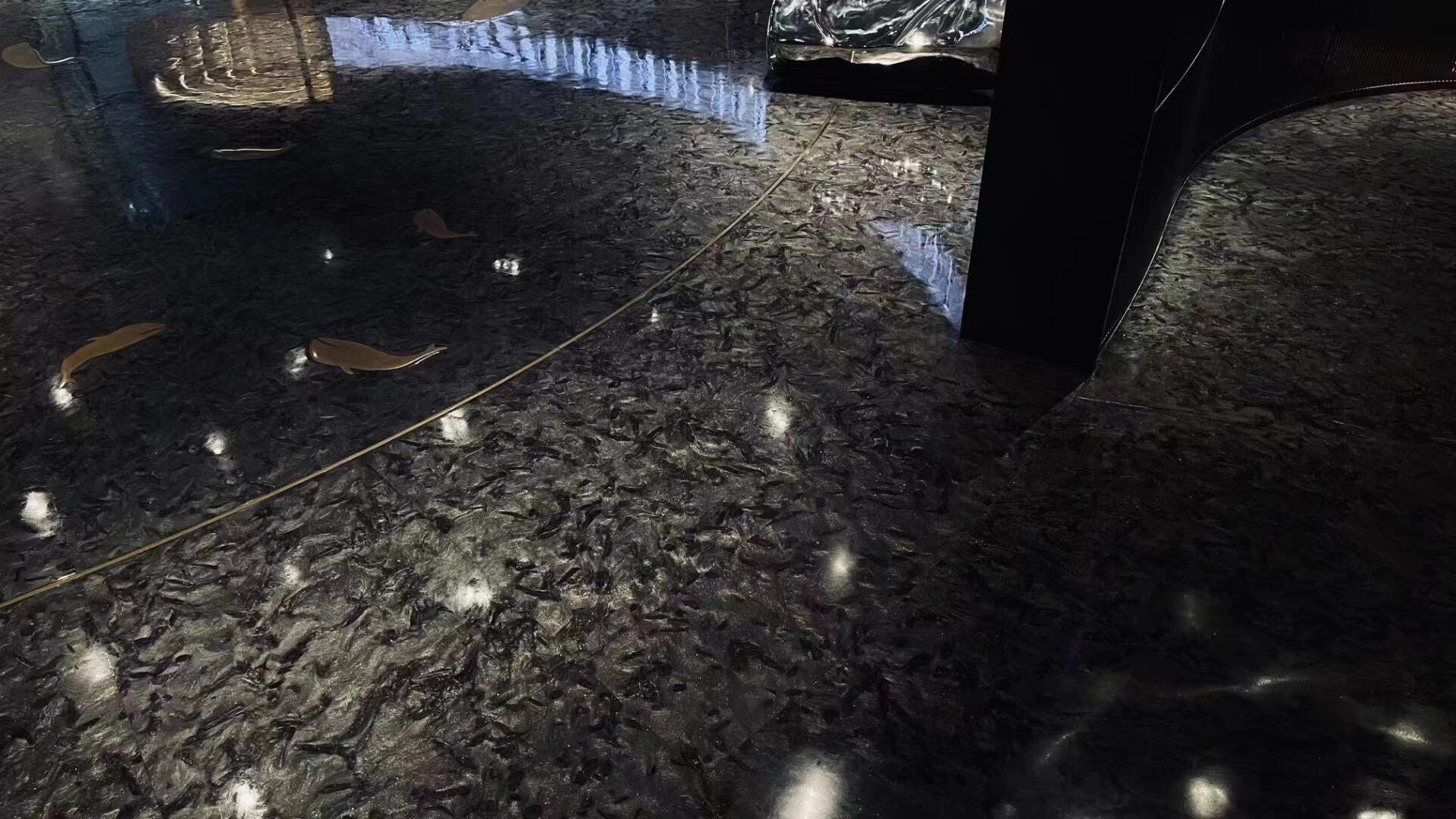 安哥拉黑大理石光面供應商(圖2)