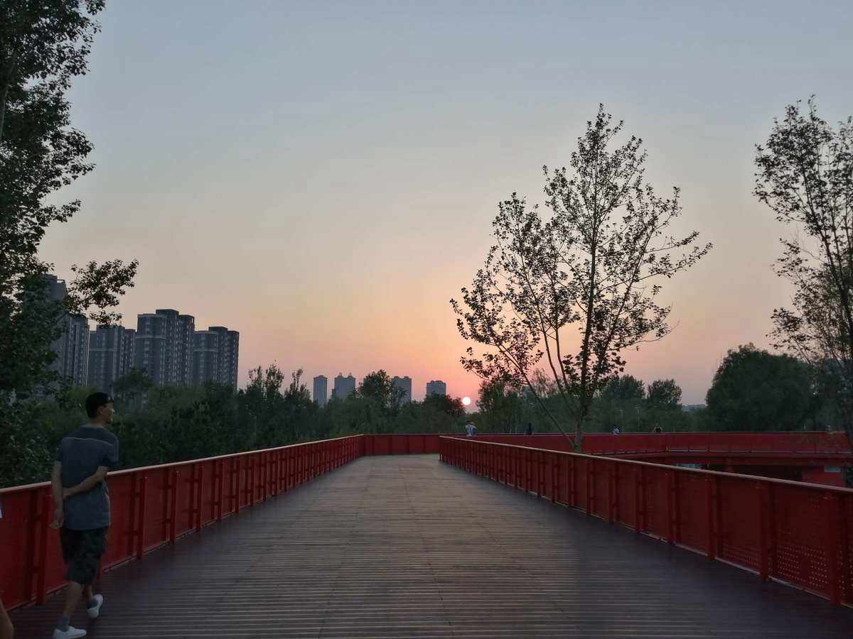 如何自己在家種植蘆薈?一步步教你成為種植高手(圖3) 如何自己在家種植蘆薈?一步步教你成為種植高手(圖3)