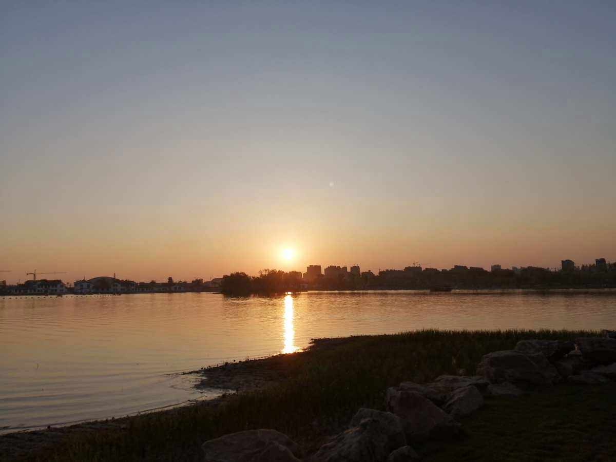 冬天室內養花：如何選擇適合的盆栽花卉