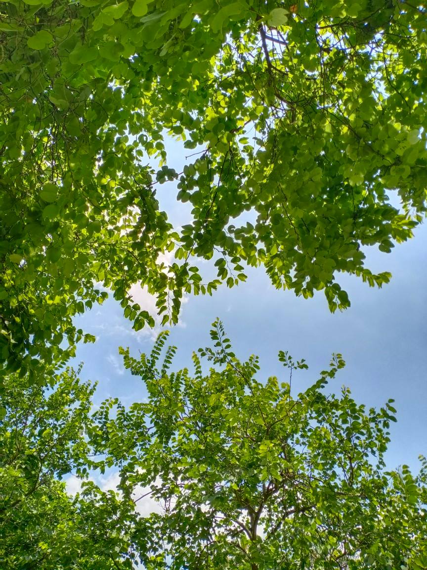 供應芝麻灰板材 河南天然花崗巖 廣場地鋪外墻干掛(圖2) 供應芝麻灰板材 河南天然花崗巖 廣場地鋪外墻干掛(圖2)