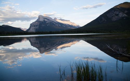 讓冬天室內(nèi)養(yǎng)花成為一種享受：花卉選擇與養(yǎng)護(hù)指南