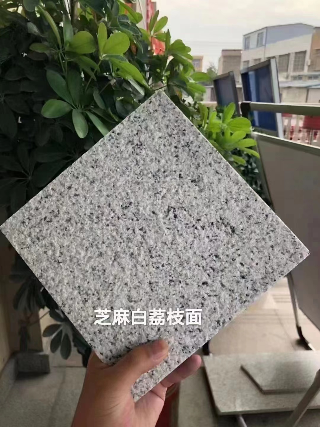 3公分芝麻白石材報價(圖2) 3公分芝麻白石材報價(圖2)