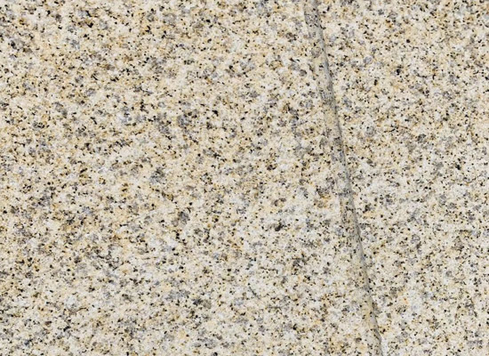 黃金麻荔枝面.jpg 黃金麻荔枝面.jpg