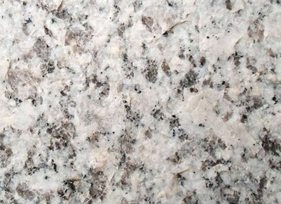 芝麻白火燒面.jpg 芝麻白火燒面.jpg