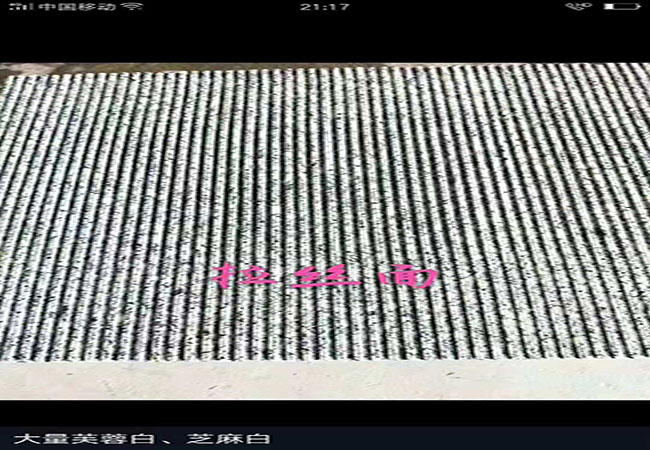 濟寧芝麻白干掛石材(圖4)