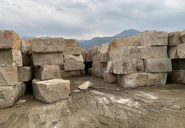 江西25厚黃金麻荔枝面價格