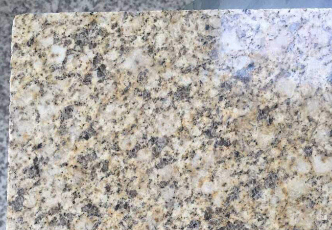 河南黃金麻產地泌陽