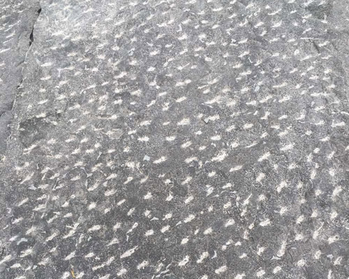 鋪青石板后悔了，真的嗎？