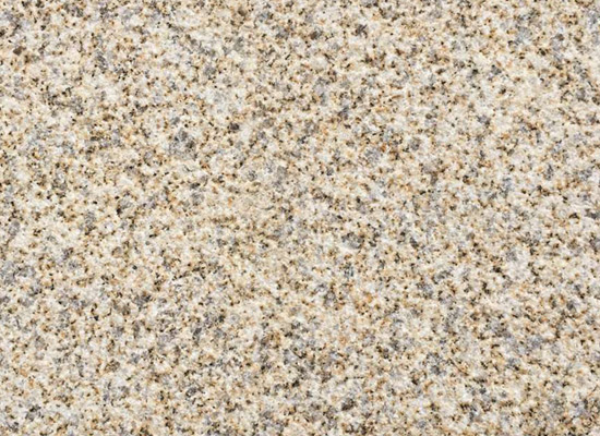 黃金麻荔枝面的加工方式介紹