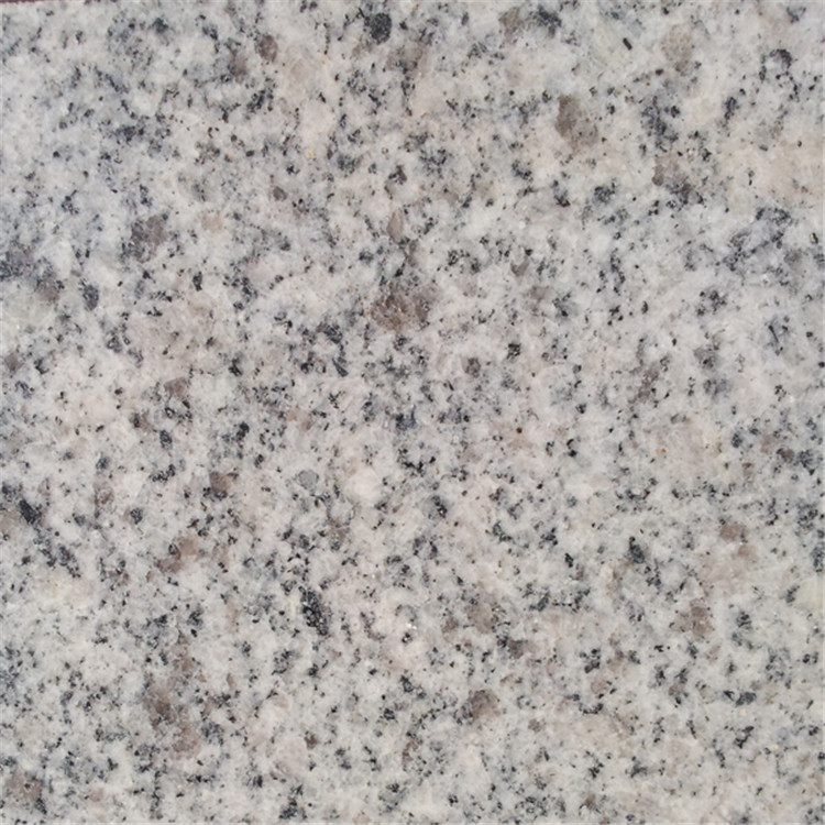 大連芝麻灰價格行情