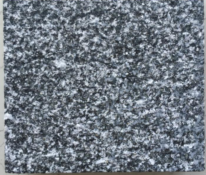 儋州芝麻黑價格多少(圖2)