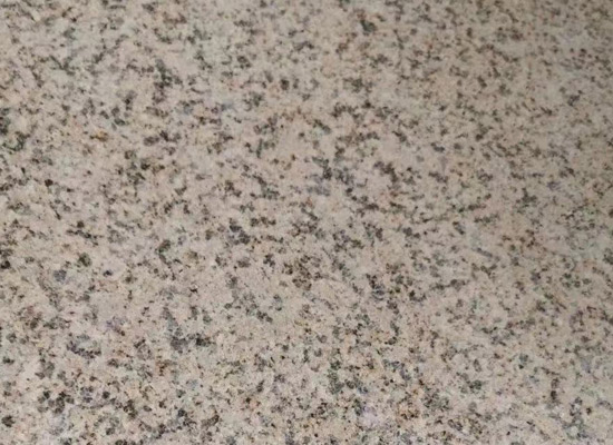 黃金麻荔枝面.jpg 黃金麻荔枝面.jpg