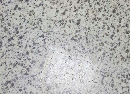 芝麻白花崗石光面.jpg 芝麻白花崗石光面.jpg