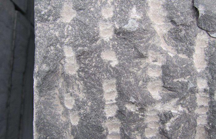 花崗巖大理石鋪貼及干掛石材種類及工藝(圖2) 花崗巖大理石鋪貼及干掛石材種類及工藝(圖2)