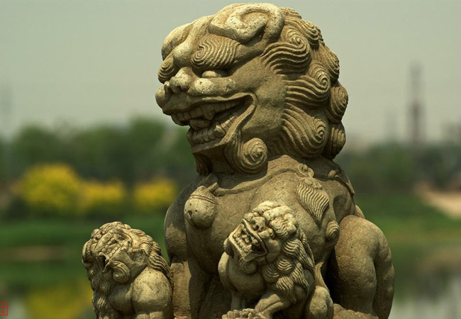 從地質學角度理解大理石的脈絡與色彩