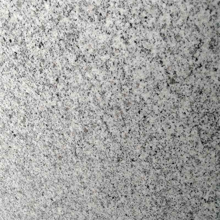 花園小院香草園：可食用又美觀的植物選擇