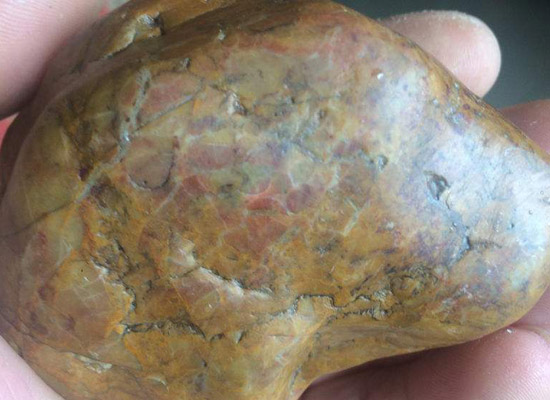 大理石踢腳線脫落修復(圖4) 大理石踢腳線脫落修復(圖4)