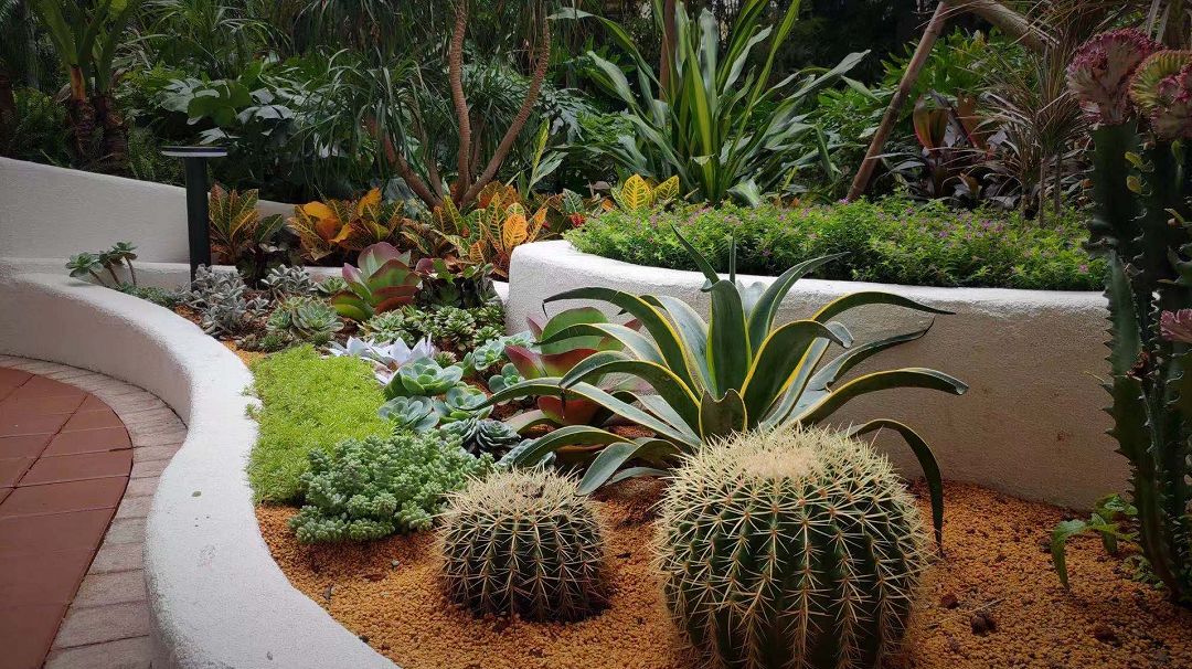 打造一個庭院花園需要花費多少錢?(圖3) 打造一個庭院花園需要花費多少錢?(圖3)