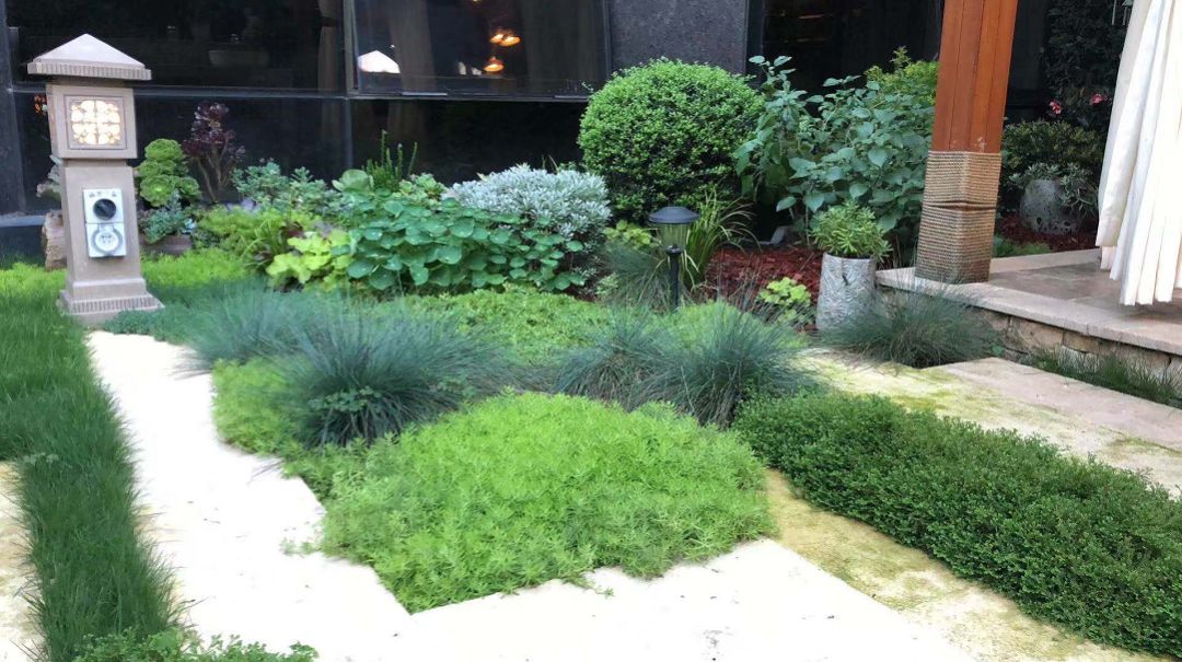 打造一個庭院花園需要花費多少錢?(圖7) 打造一個庭院花園需要花費多少錢?(圖7)