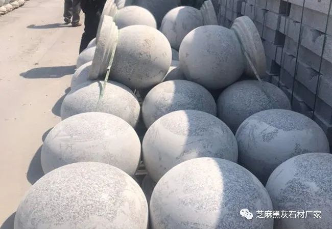 芝麻白產地在哪里(圖5) 芝麻白產地在哪里(圖5)