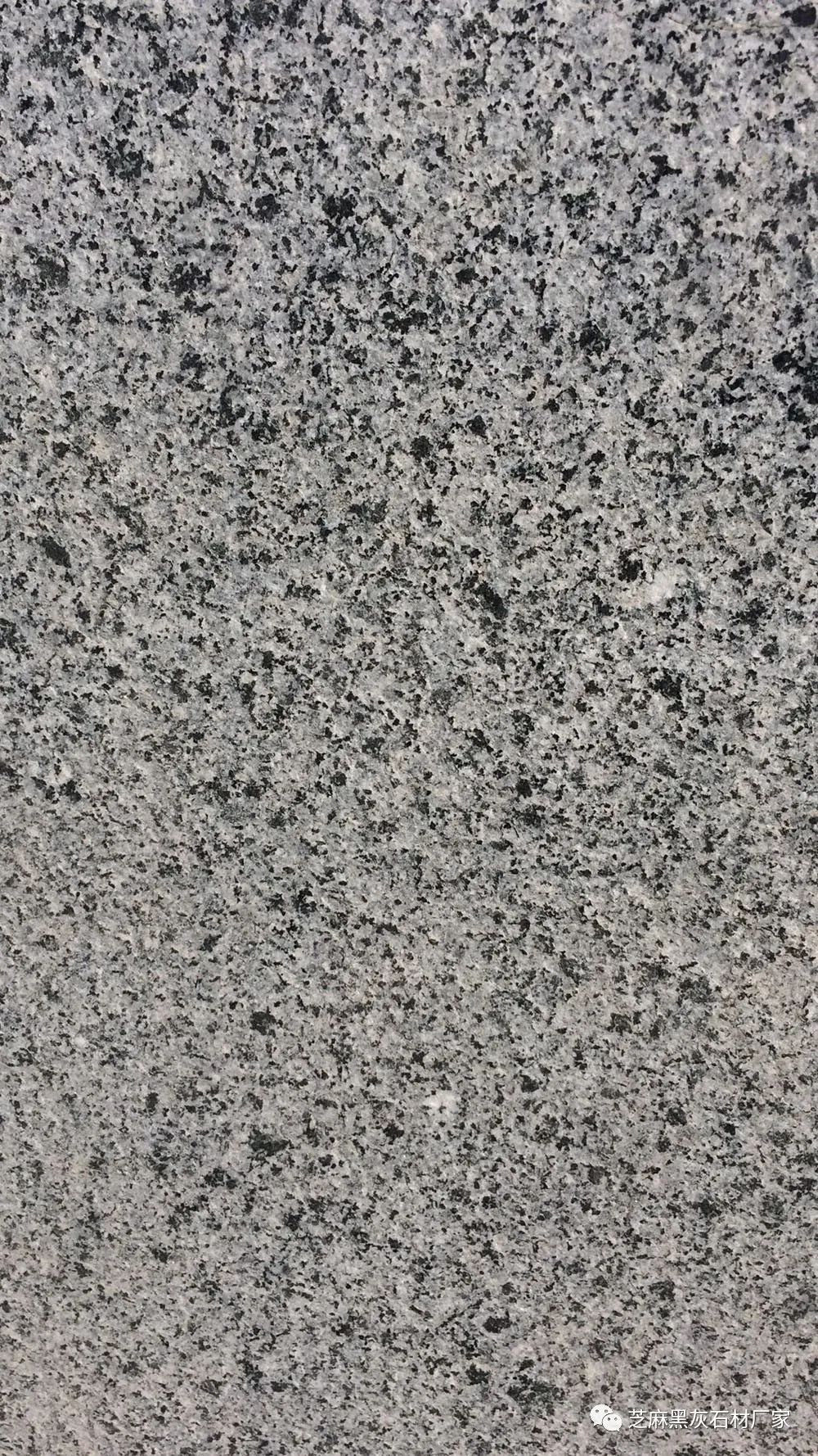 地鋪石材(圖6) 地鋪石材(圖6)