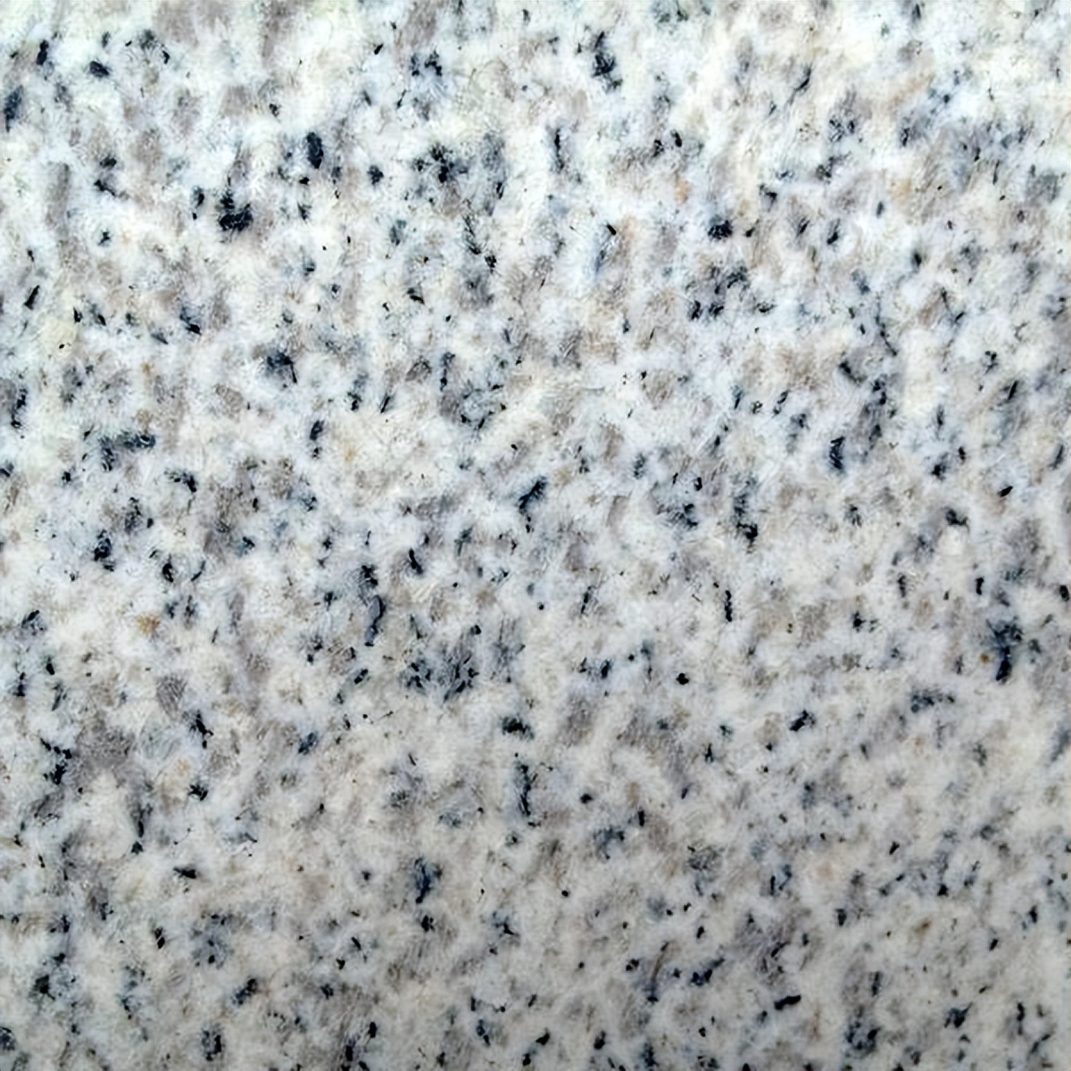 白麻石材多少錢一平方(圖2) 白麻石材多少錢一平方