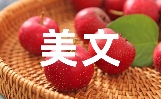 探究周寧美文線下寫作：如何讓手寫字更加優美？